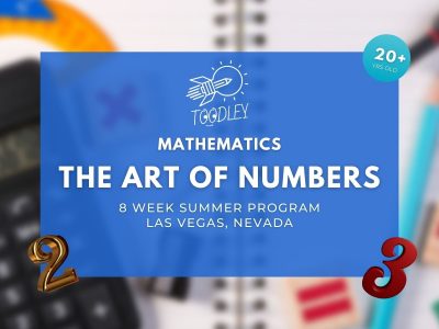 Math Summer Camp for students age 20+ (8 week summer program)
